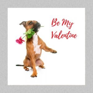 Staffie Valentine Card