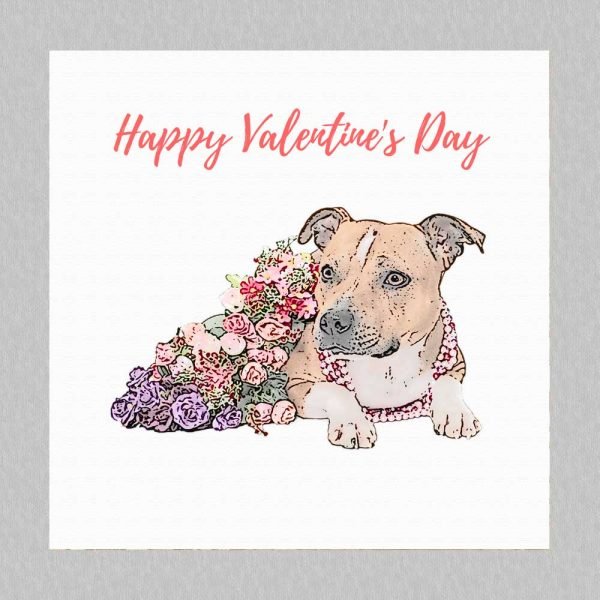 Staffy Valentines Card