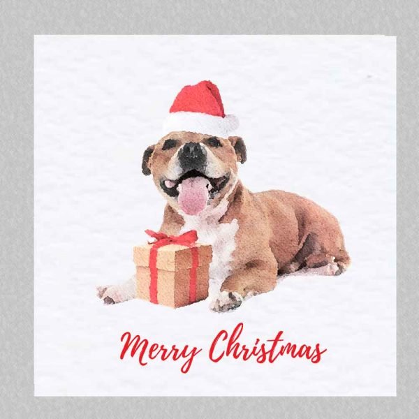 Staffordshire Bull Terrier - Christmas Card