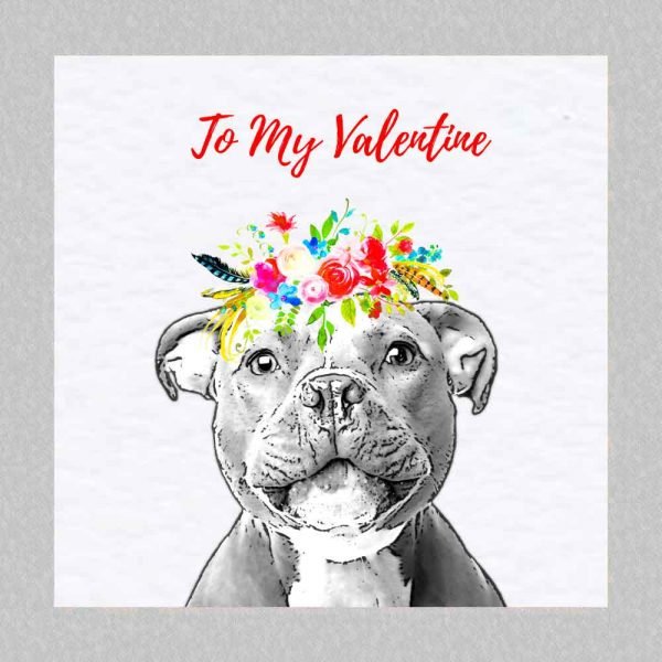 Staffordshire bull terrier valentine's day card