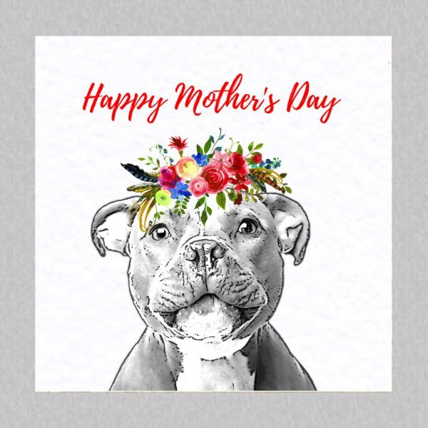 Staffy mother's day card