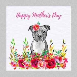 Staffy puppy mother's day card