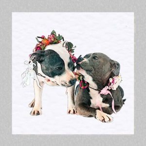 Staffie card