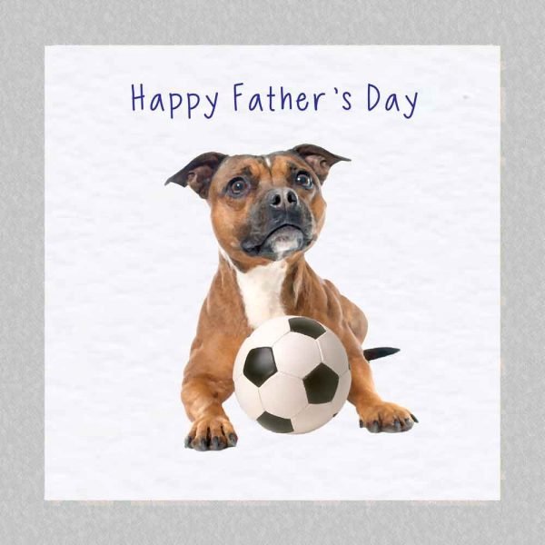 staffy fathers day card