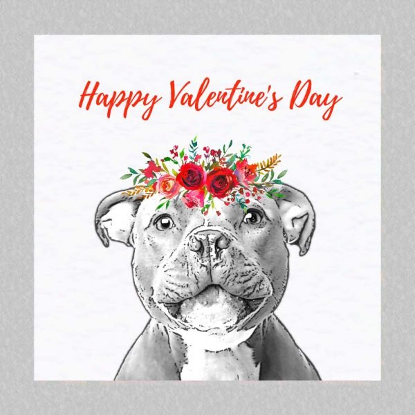 Staffy Valentine